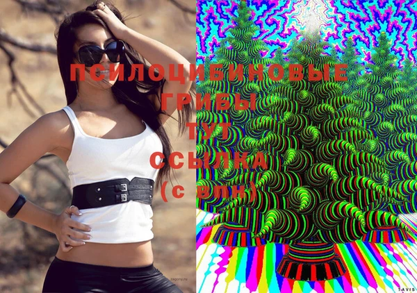 стаф Алексеевка