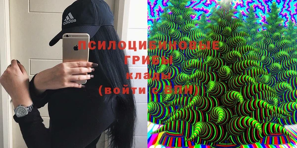 стаф Алексеевка