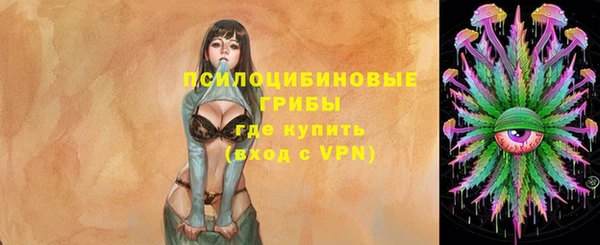 стаф Алексеевка