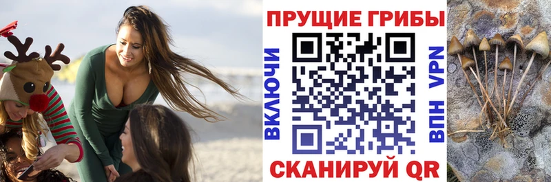 blacksprut как зайти  Миасс  Псилоцибиновые грибы ЛСД 